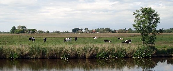 landelijk